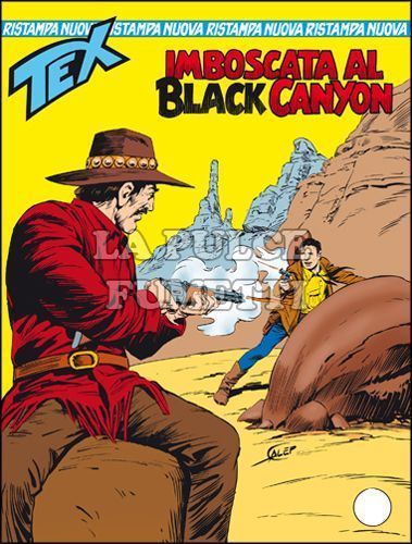 TEX NUOVA RISTAMPA #   318: IMBOSCATA AL BLACK CANYON